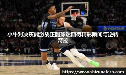 小牛对决灰熊激战正酣球迷期待精彩瞬间与逆转奇迹