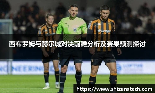 西布罗姆与赫尔城对决前瞻分析及赛果预测探讨